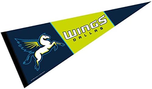 Dallas Wings Pennant Banner Flag